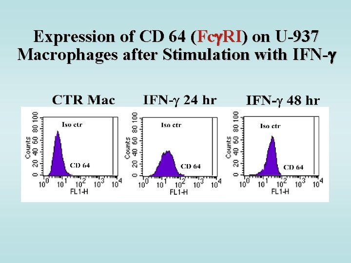 Expression of CD 64 (Fc RI) on U-937 Macrophages after Stimulation with IFN- 