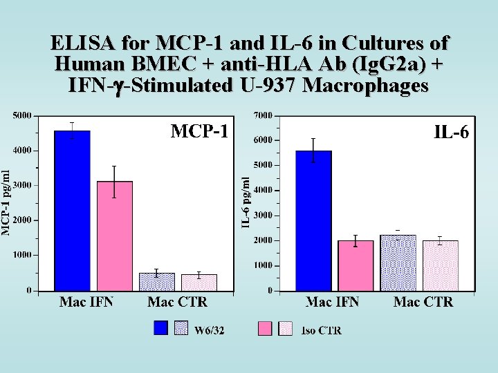 ELISA for MCP-1 and IL-6 in Cultures of Human BMEC + anti-HLA Ab (Ig.