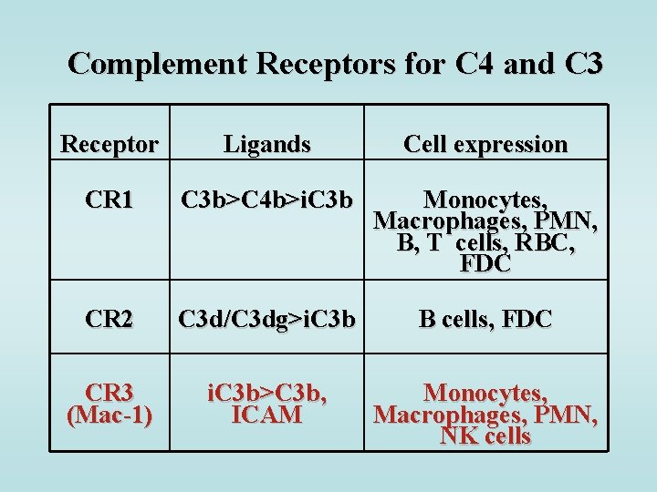 Complement Receptors for C 4 and C 3 Receptor Ligands Cell expression CR 1