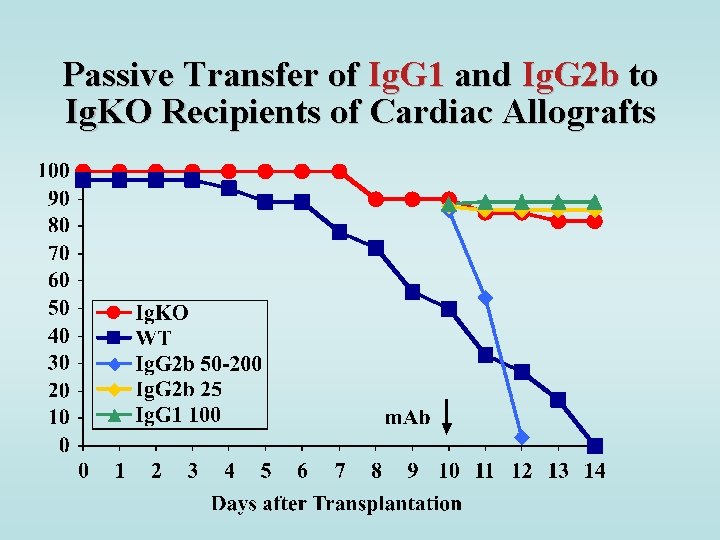 Passive Transfer of Ig. G 1 and Ig. G 2 b to Ig. KO