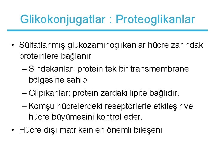 Glikokonjugatlar : Proteoglikanlar • Sülfatlanmış glukozaminoglikanlar hücre zarındaki proteinlere bağlanır. – Sindekanlar: protein tek