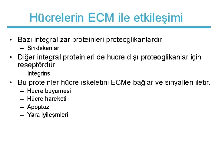 Hücrelerin ECM ile etkileşimi • Bazı integral zar proteinleri proteoglikanlardır – Sindekanlar • Diğer