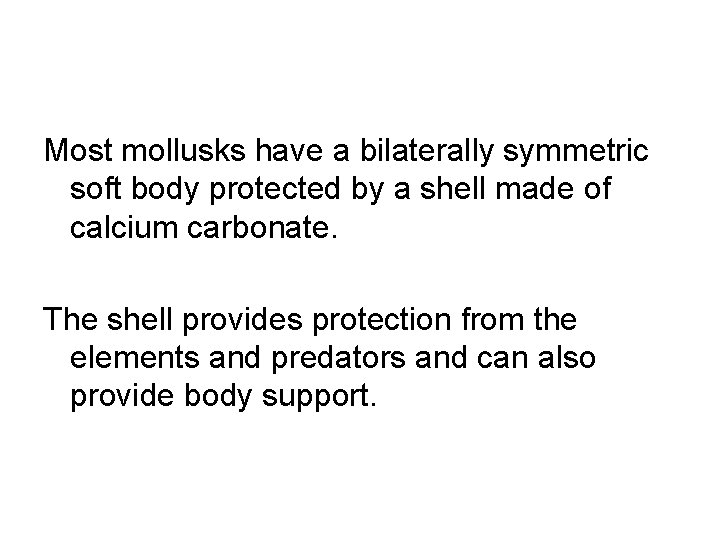 Most mollusks have a bilaterally symmetric soft body protected by a shell made of