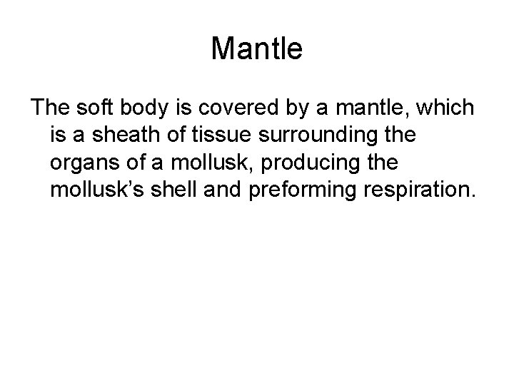 Mantle The soft body is covered by a mantle, which is a sheath of