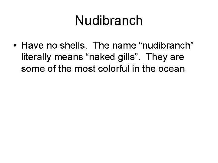 Nudibranch • Have no shells. The name “nudibranch” literally means “naked gills”. They are