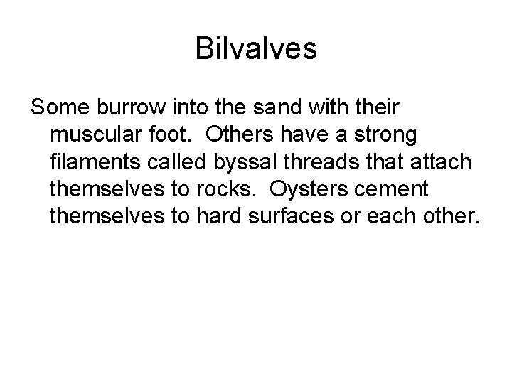 Bilvalves Some burrow into the sand with their muscular foot. Others have a strong