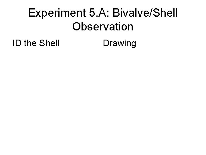 Experiment 5. A: Bivalve/Shell Observation ID the Shell Drawing 