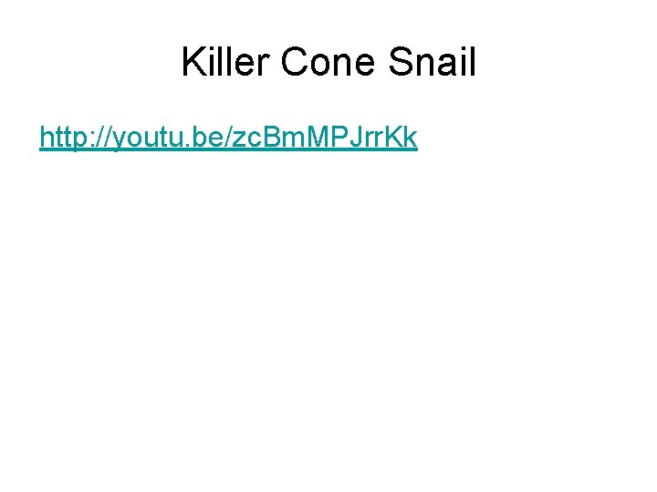 Killer Cone Snail http: //youtu. be/zc. Bm. MPJrr. Kk 