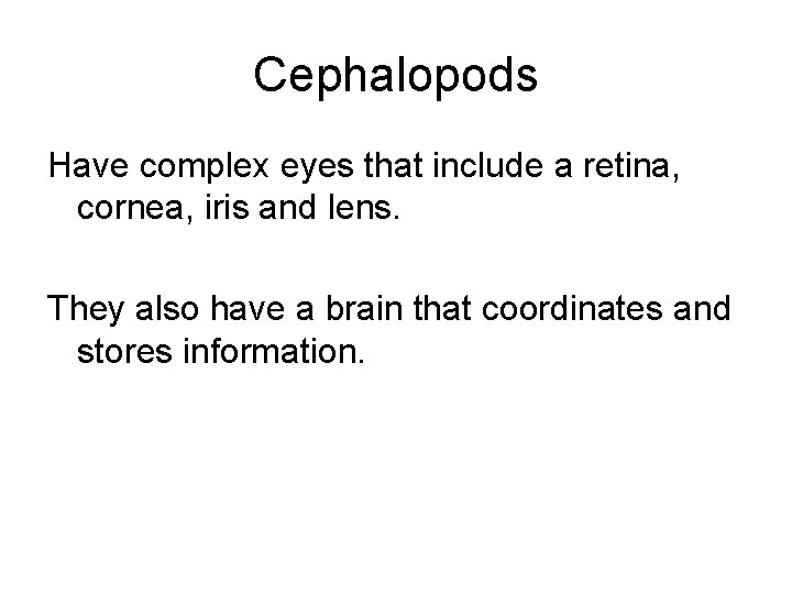 Cephalopods Have complex eyes that include a retina, cornea, iris and lens. They also