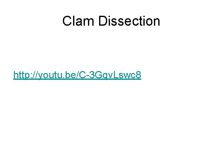 Clam Dissection http: //youtu. be/C-3 Gqv. Lswc 8 