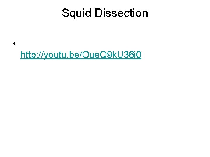 Squid Dissection • http: //youtu. be/Oue. Q 9 k. U 36 i 0 