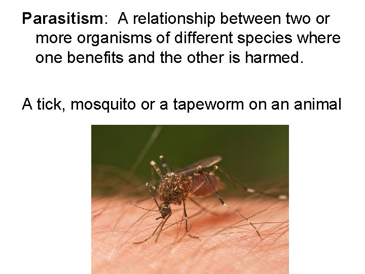 Parasitism: A relationship between two or more organisms of different species where one benefits