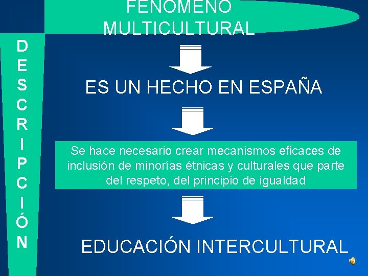 D E S C R I P C I Ó N FENÓMENO MULTICULTURAL ES