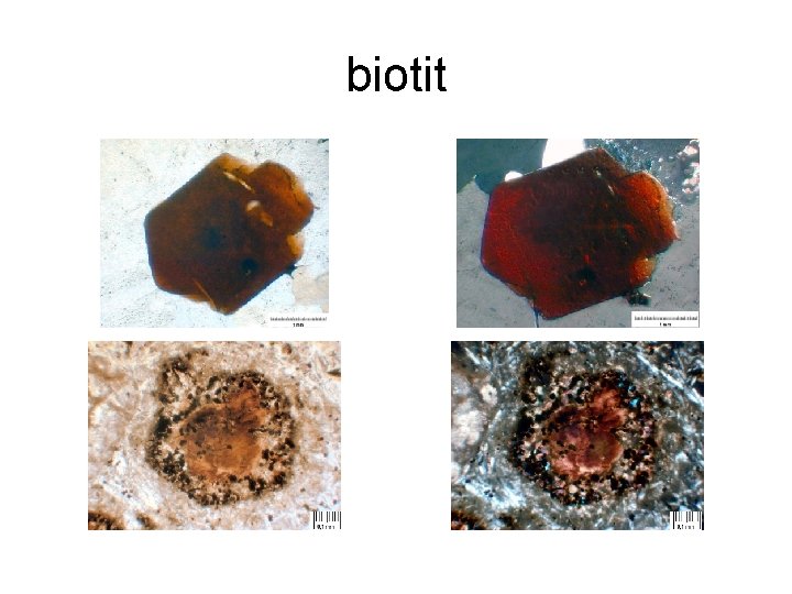 biotit 