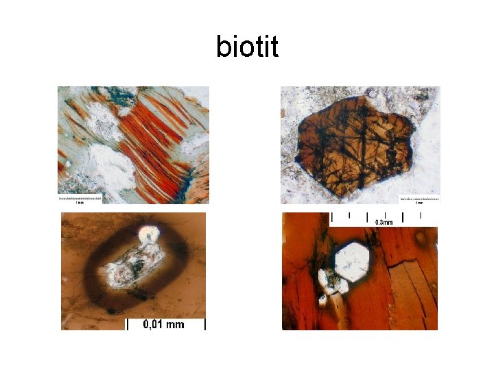 biotit 