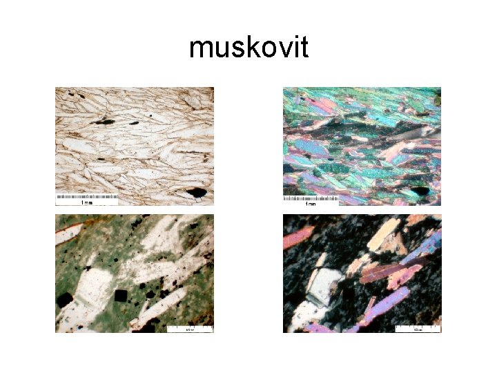 muskovit 