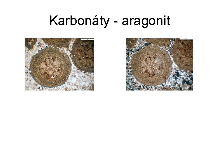 Karbonáty - aragonit 