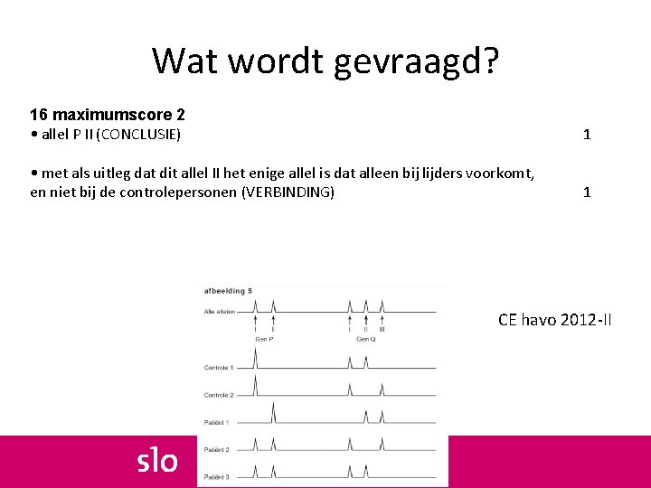 Wat wordt gevraagd? 16 maximumscore 2 • Door allel PDNA‐onderzoek II (CONCLUSIE) is bepaald