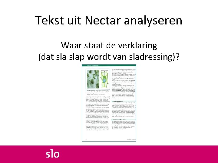 Tekst uit Nectar analyseren Waar staat de verklaring (dat slap wordt van sladressing)? 