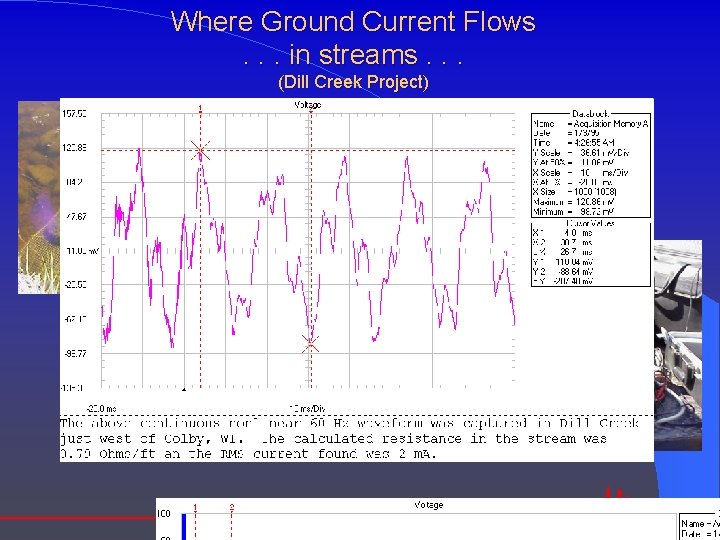 Where Ground Current Flows. . . in streams. . . (Dill Creek Project) 