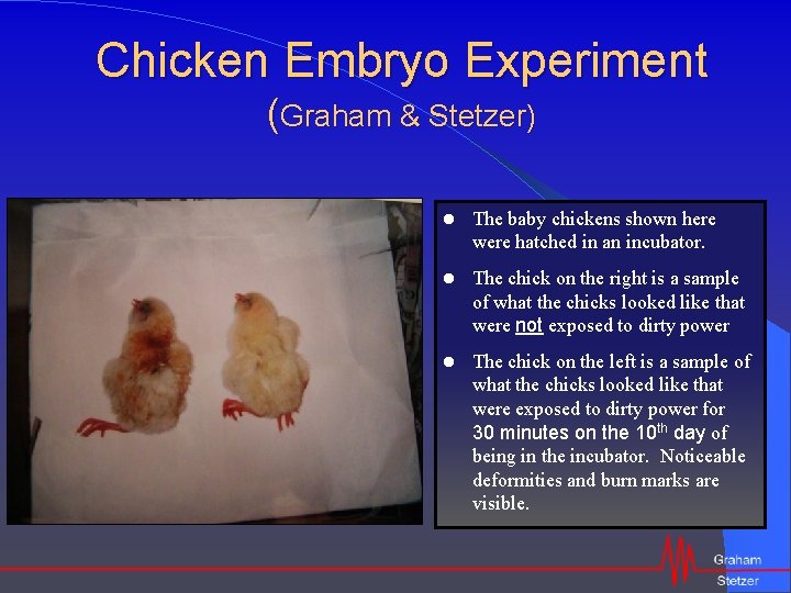 Chicken Embryo Experiment (Graham & Stetzer) The baby chickens shown here were hatched in