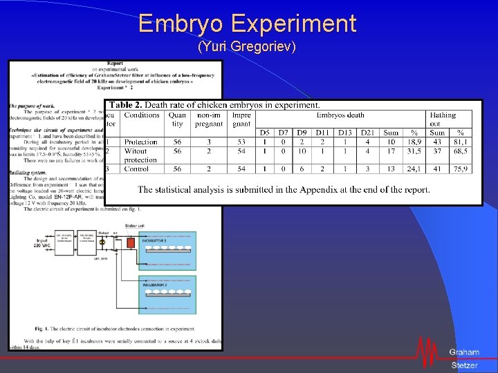 Embryo Experiment (Yuri Gregoriev) 