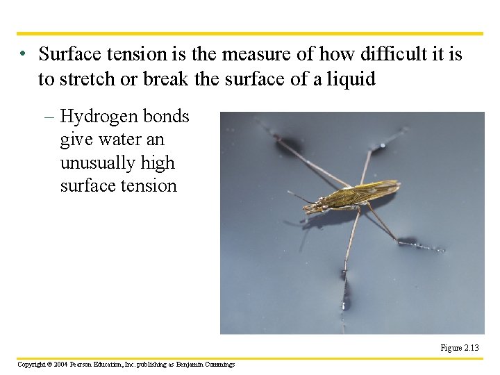  • Surface tension is the measure of how difficult it is to stretch