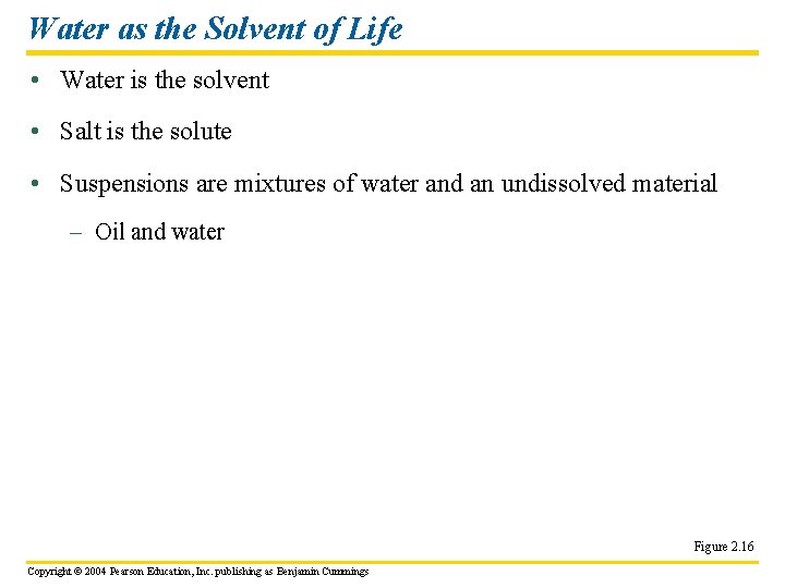 Water as the Solvent of Life • Water is the solvent • Salt is