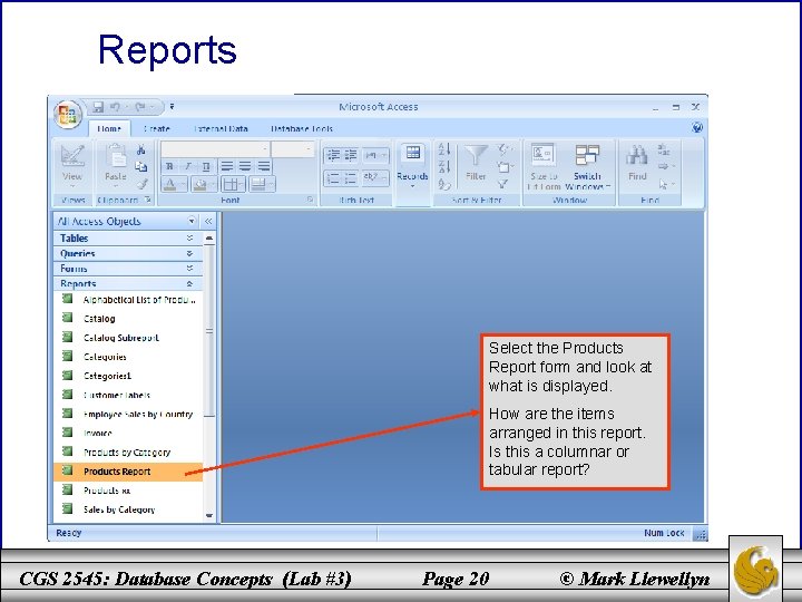 Reports Select the Products Report form and look at what is displayed. How are