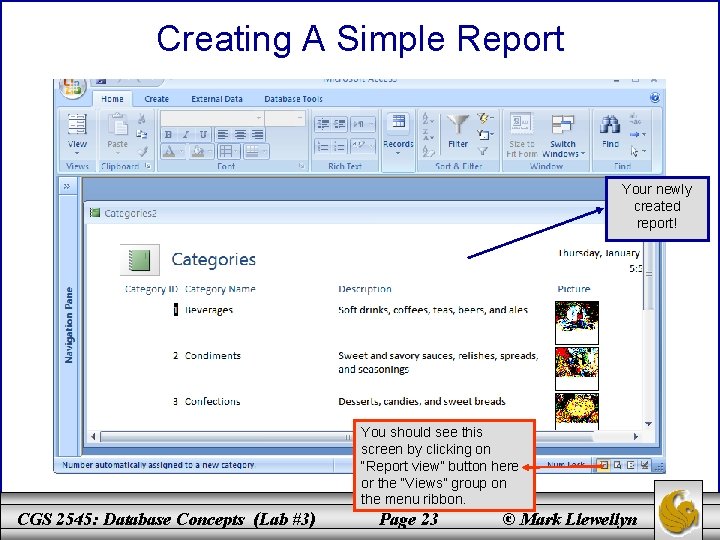 Creating A Simple Report Your newly created report! You should see this screen by