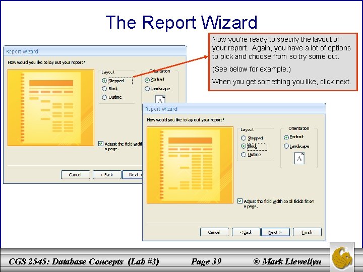 The Report Wizard Now you’re ready to specify the layout of your report. Again,