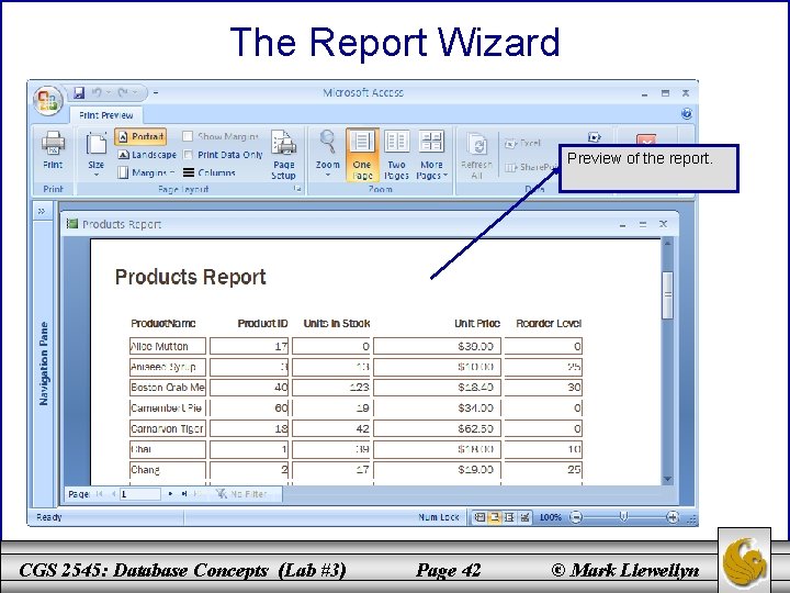 The Report Wizard Preview of the report. CGS 2545: Database Concepts (Lab #3) Page