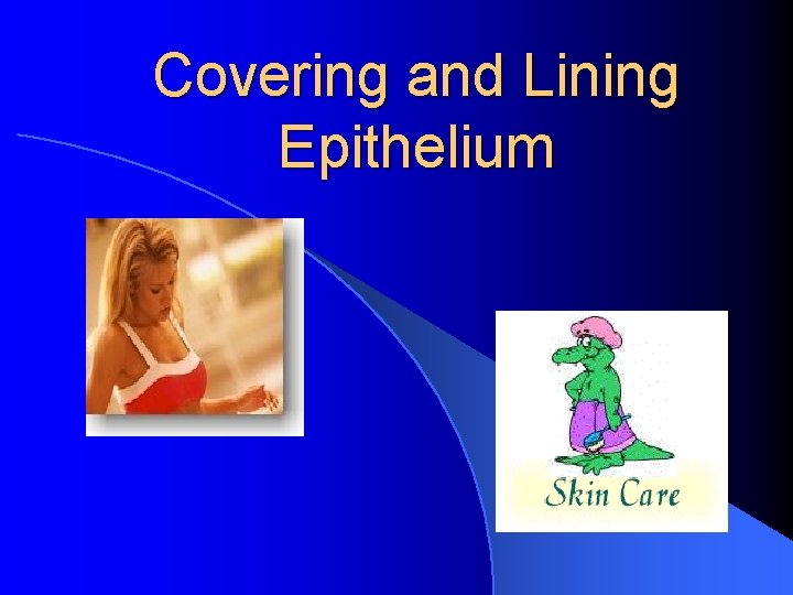 Covering and Lining Epithelium 