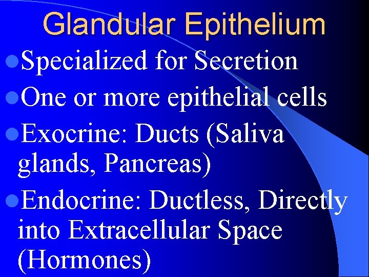 Glandular Epithelium l. Specialized for Secretion l. One or more epithelial cells l. Exocrine: