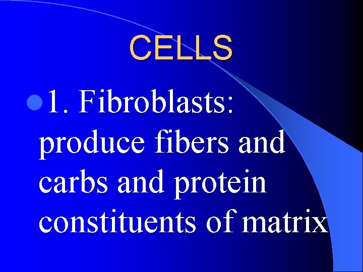 CELLS l 1. Fibroblasts: produce fibers and carbs and protein constituents of matrix 