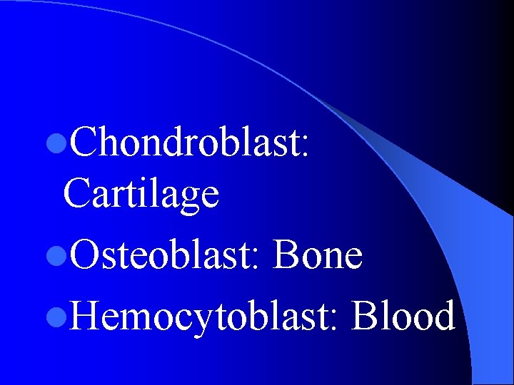 l. Chondroblast: Cartilage l. Osteoblast: Bone l. Hemocytoblast: Blood 