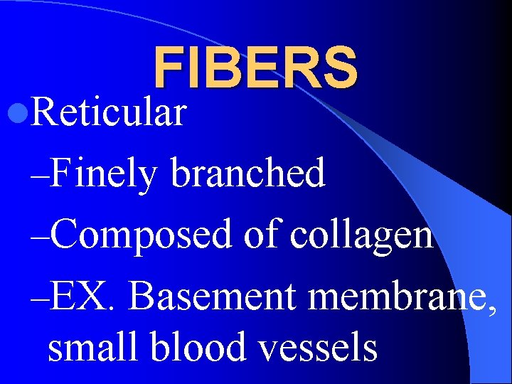 FIBERS l. Reticular –Finely branched –Composed of collagen –EX. Basement membrane, small blood vessels
