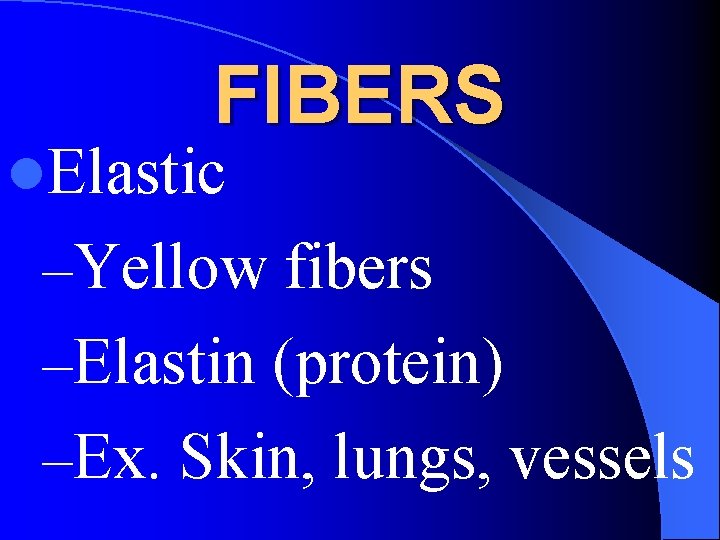 FIBERS l. Elastic –Yellow fibers –Elastin (protein) –Ex. Skin, lungs, vessels 