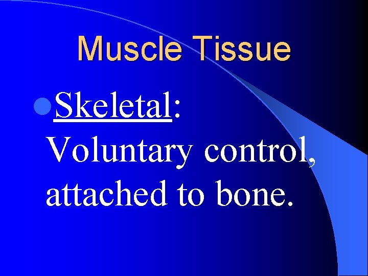 Muscle Tissue l. Skeletal: Voluntary control, attached to bone. 