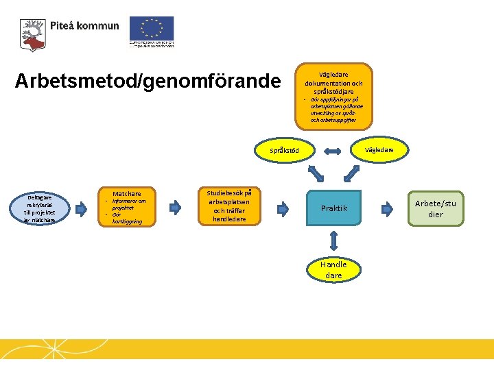 Arbetsmetod/genomförande Vägledare dokumentation och språkstödjare - Gör uppföljningar på arbetsplatsen gällande utveckling av språkoch