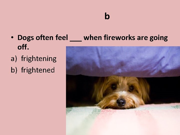 b • Dogs often feel ___ when fireworks are going off. a) frightening b)