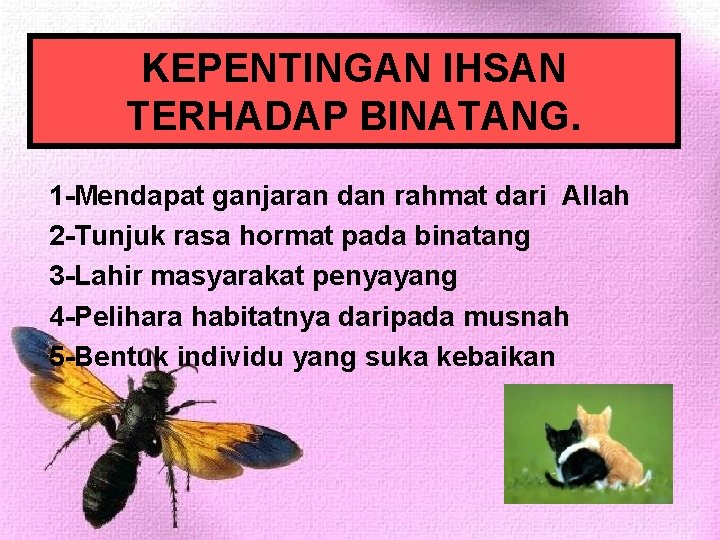 KEPENTINGAN IHSAN TERHADAP BINATANG. 1 -Mendapat ganjaran dan rahmat dari Allah 2 -Tunjuk rasa KEPENTINGAN IHSAN TERHADAP BINATANG. 1 -Mendapat ganjaran dan rahmat dari Allah 2 -Tunjuk rasa