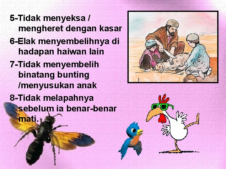 5 -Tidak menyeksa / mengheret dengan kasar 6 -Elak menyembelihnya di hadapan haiwan lain 5 -Tidak menyeksa / mengheret dengan kasar 6 -Elak menyembelihnya di hadapan haiwan lain
