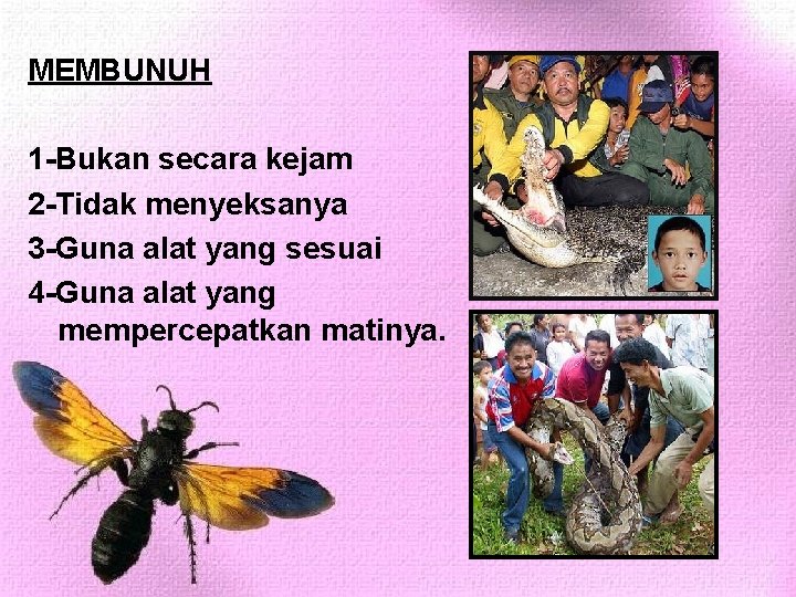 MEMBUNUH 1 -Bukan secara kejam 2 -Tidak menyeksanya 3 -Guna alat yang sesuai 4 MEMBUNUH 1 -Bukan secara kejam 2 -Tidak menyeksanya 3 -Guna alat yang sesuai 4
