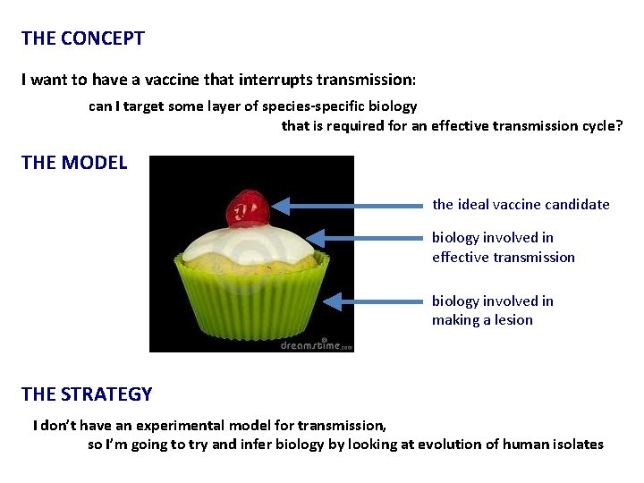 THE CONCEPT I want to have a vaccine that interrupts transmission: can I target