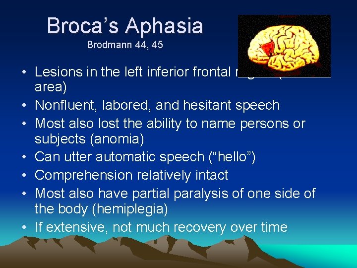 Broca’s Aphasia Brodmann 44, 45 • Lesions in the left inferior frontal region (Broca’s
