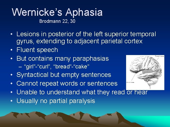 Wernicke’s Aphasia Brodmann 22, 30 • Lesions in posterior of the left superior temporal
