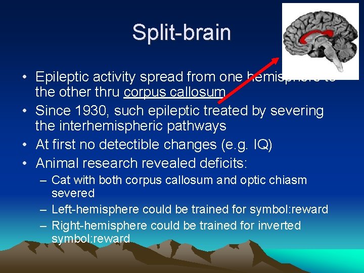 Split-brain • Epileptic activity spread from one hemisphere to the other thru corpus callosum