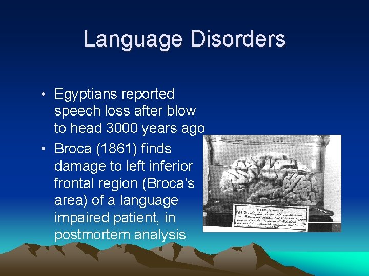 Language Disorders • Egyptians reported speech loss after blow to head 3000 years ago