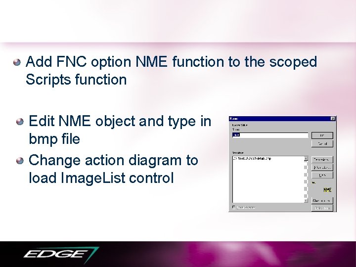 Add FNC option NME function to the scoped Scripts function Edit NME object and